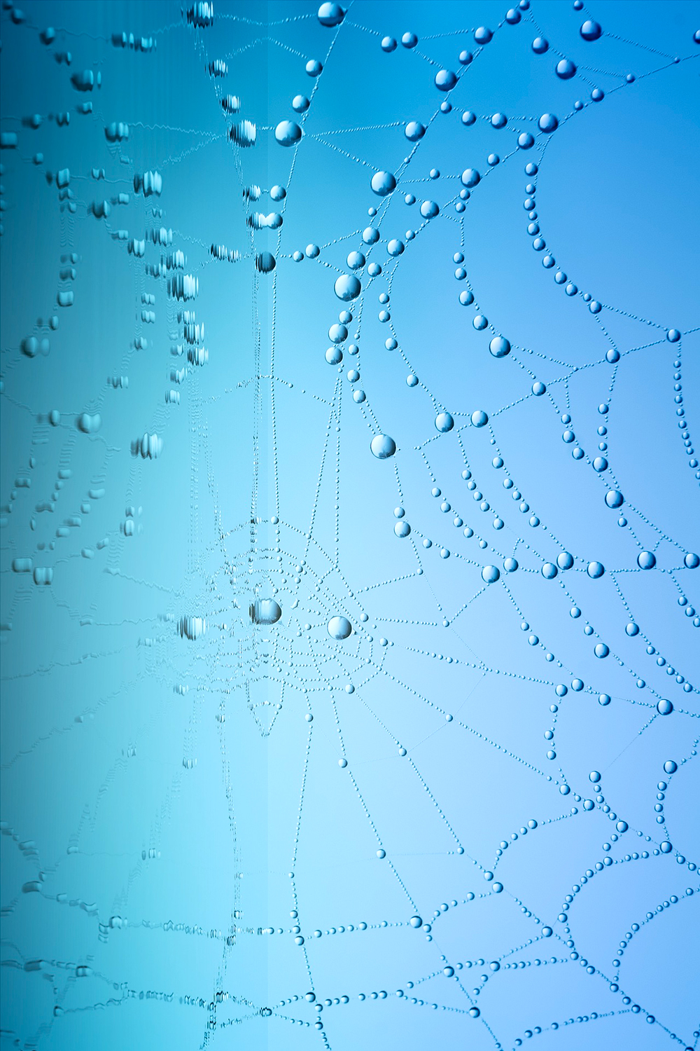 ariege hypnose - florent carrié